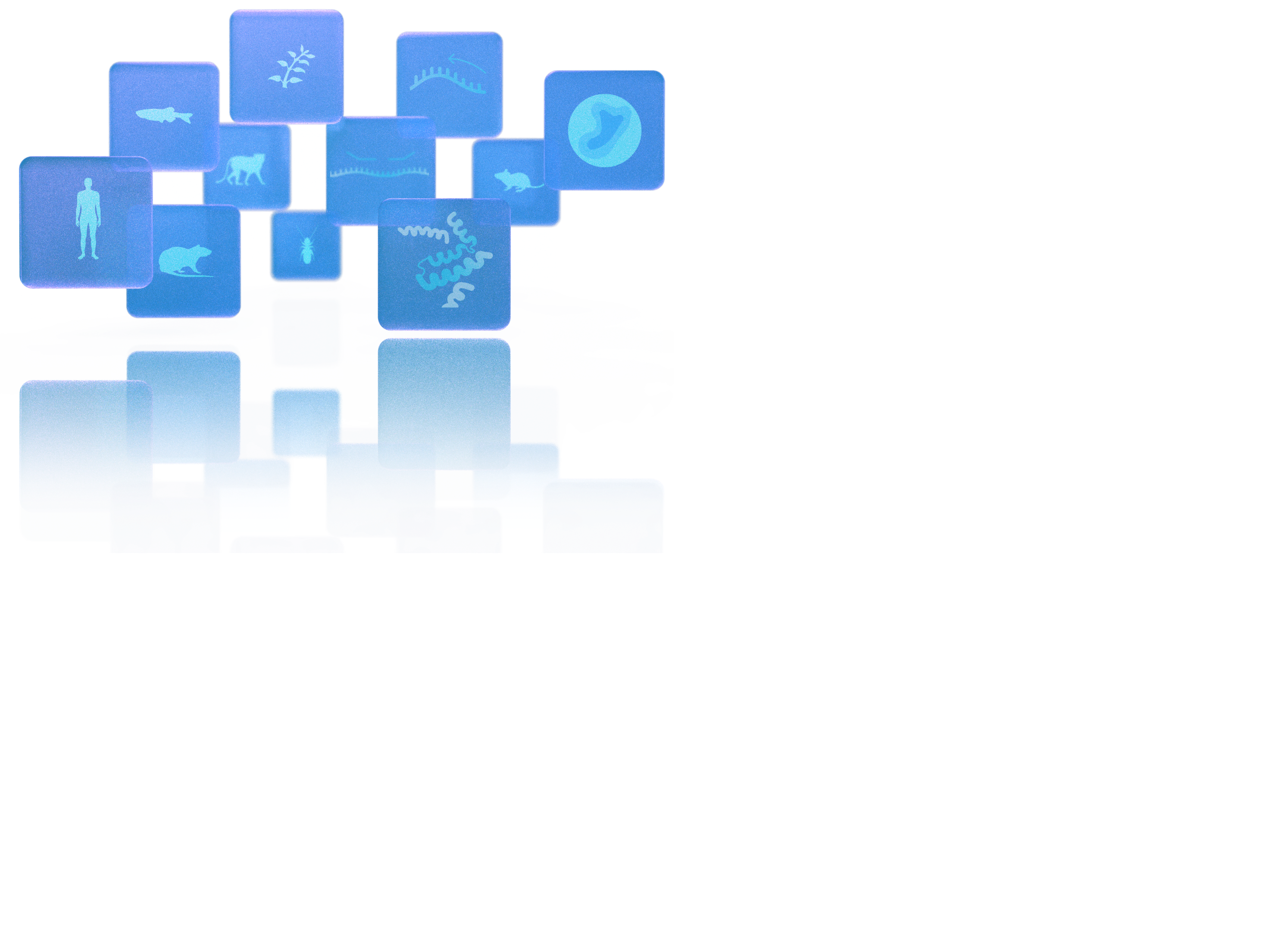 Chromium Single Cell