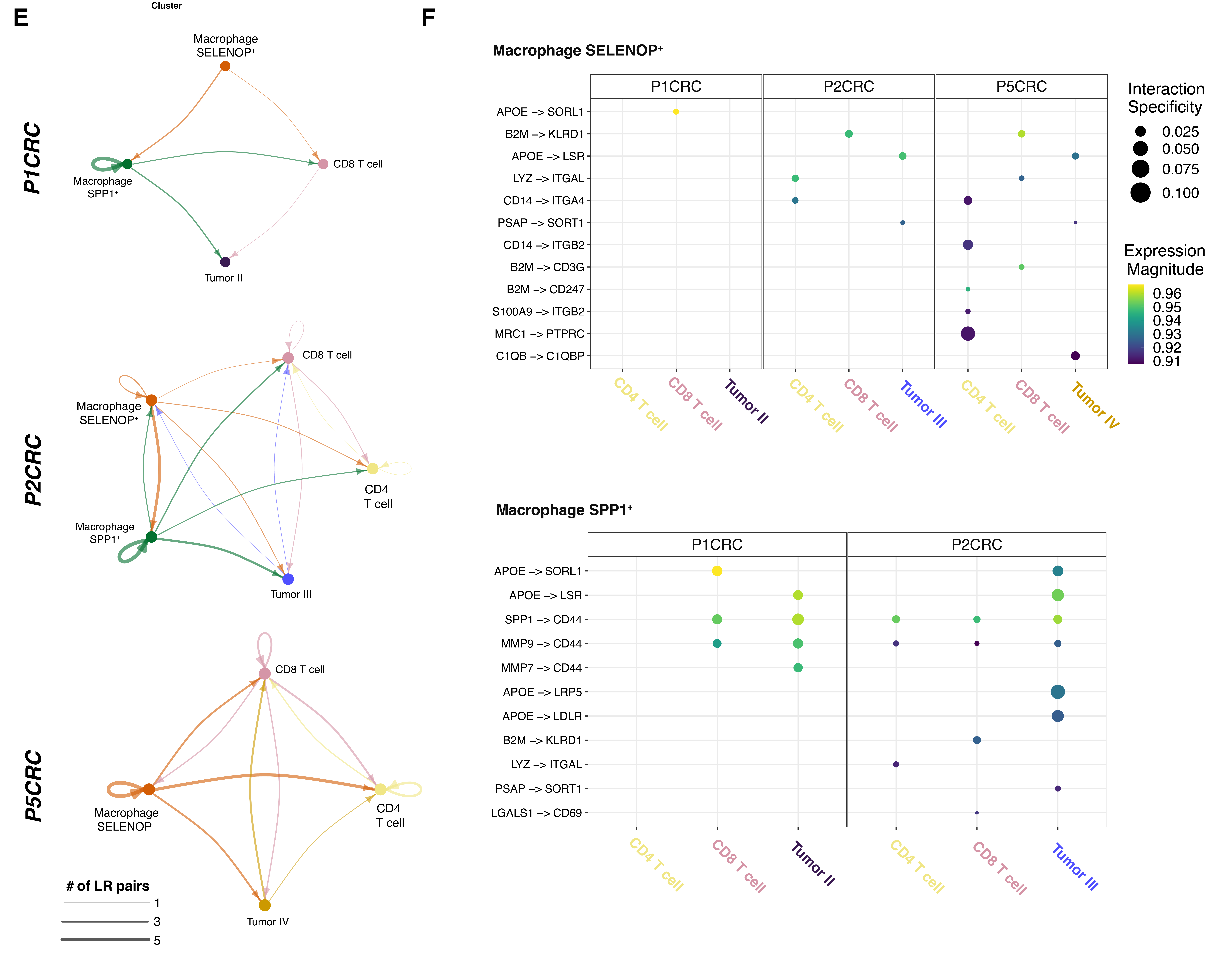 Figure 3. E. Interaction networks of macrophages, T cells, and tumor cells in the boundary regions (50um). Nodes represent cell types and edges represent the number of significant ligand receptor pairs. F. Dotplot representing the expression and specificity of ligand-receptor pairs for SPP1+ and SELENOP+ macrophages as sources. Credit: Figure 5E,F from Oliveira MF, et al. (1). CC BY-ND 4.0.