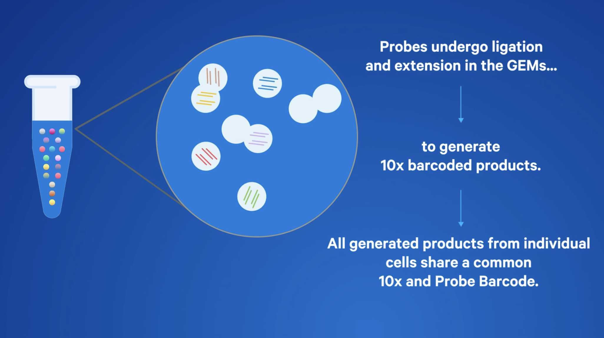 Figure 1. High-level diagram of GEMs and Flex Gene Expression chemistry. Screenshot is taken from the how-it-works video.
