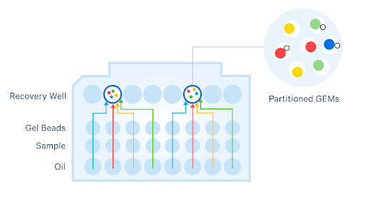 Figure 4. Schematic for on-chip multiplexing. Batch 4 independent samples per set and collect all partitioned cells in the same recovery well—no extra steps required. 