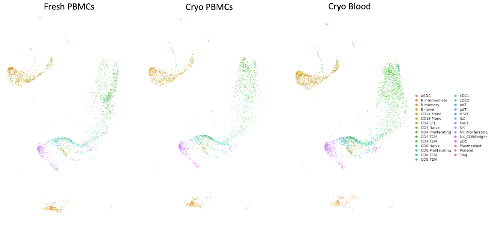 Can PBMCs be cryopreserved in whole blood without isolation for 5 ...