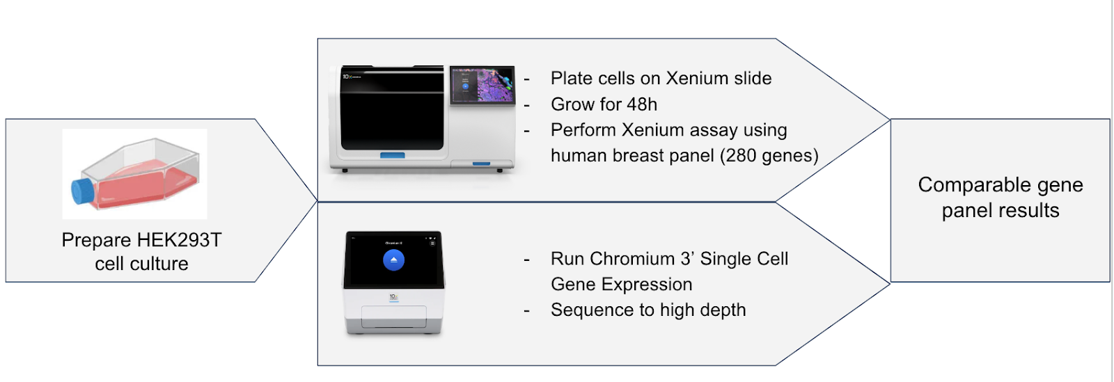 Can cells be adhered to Xenium slides to obtain gene expression data?