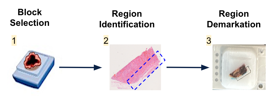 How to generate tissue arrays for Xenium?