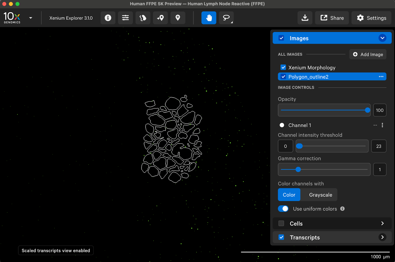 Import annotations into Xenium Explorer