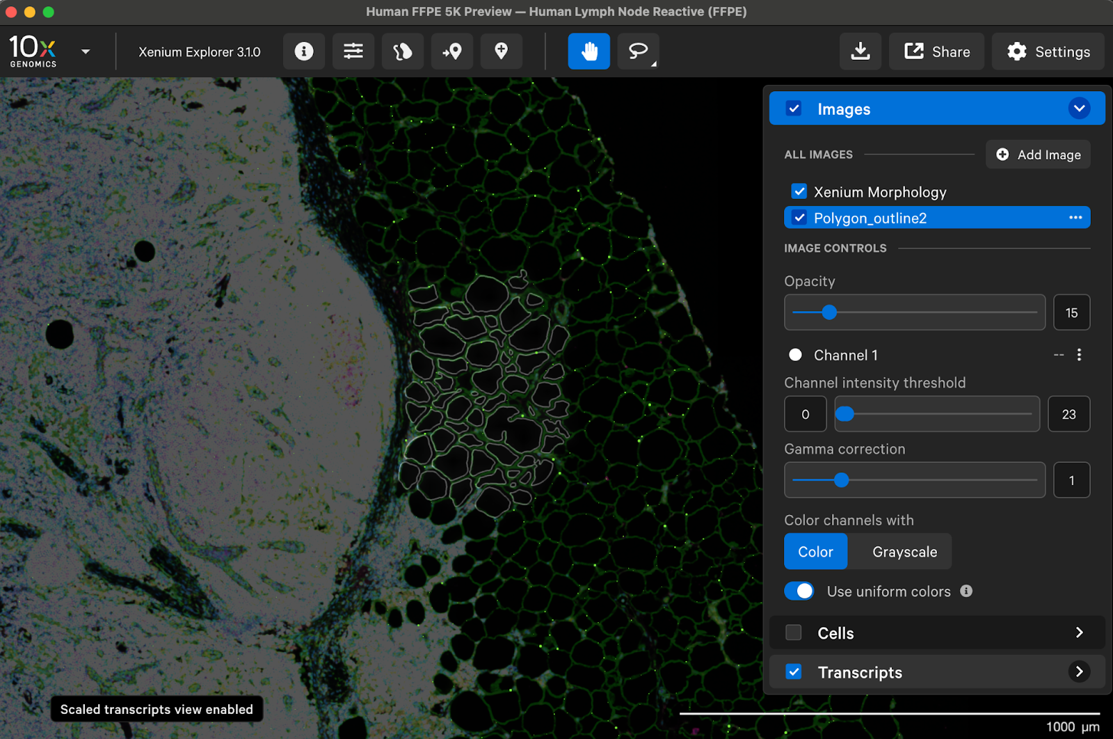 Import annotations into Xenium Explorer