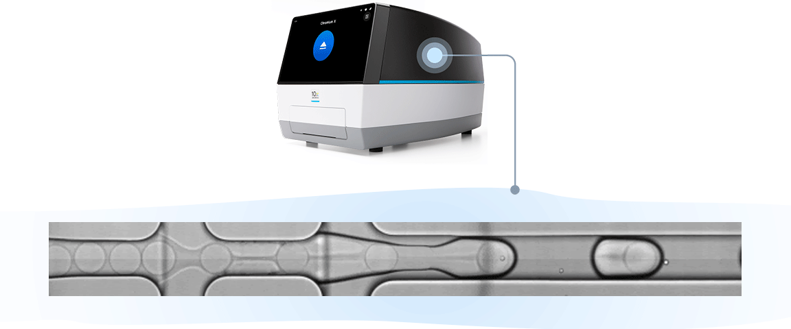Figure 4. Video of GEM formation within a microfluidic channel inside the Chromium X instrument.