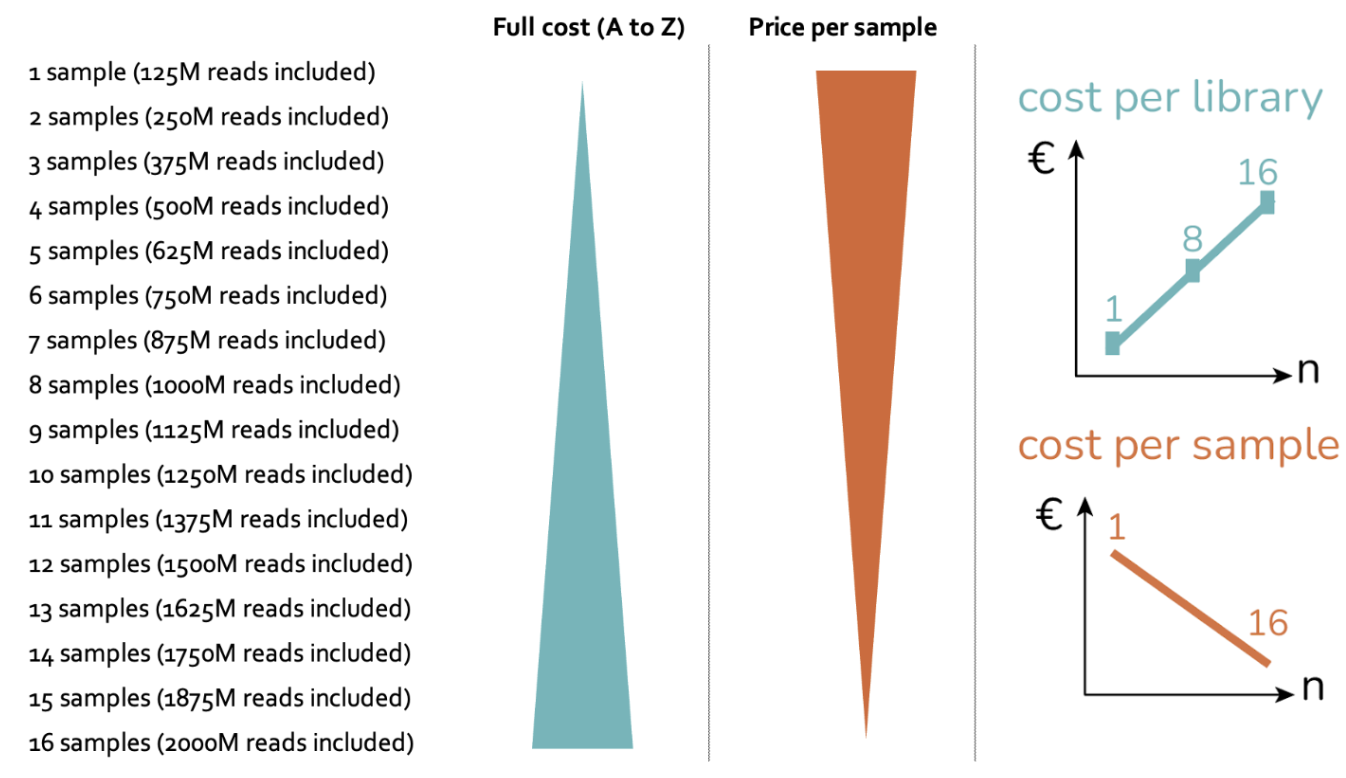 A schematic of their incremental flat-rate pricing model (1–16 samples) provided by Dr. Vandamme. The total cost increases proportionally with the number of samples, while the cost per sample decreases. This continuous pricing structure replaces fixed bundle sizes (e.g., 1, 4, or 16) with a flexible, transparent model that scales naturally with experimental design.