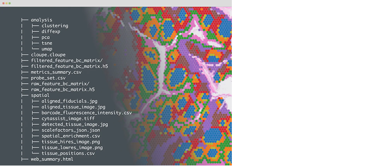 HD 3' Gene Expression | 10x Genomics