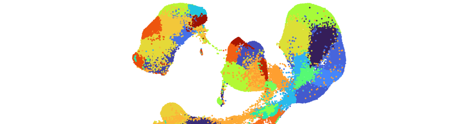 Chromium Single Cell - Featured Dataset