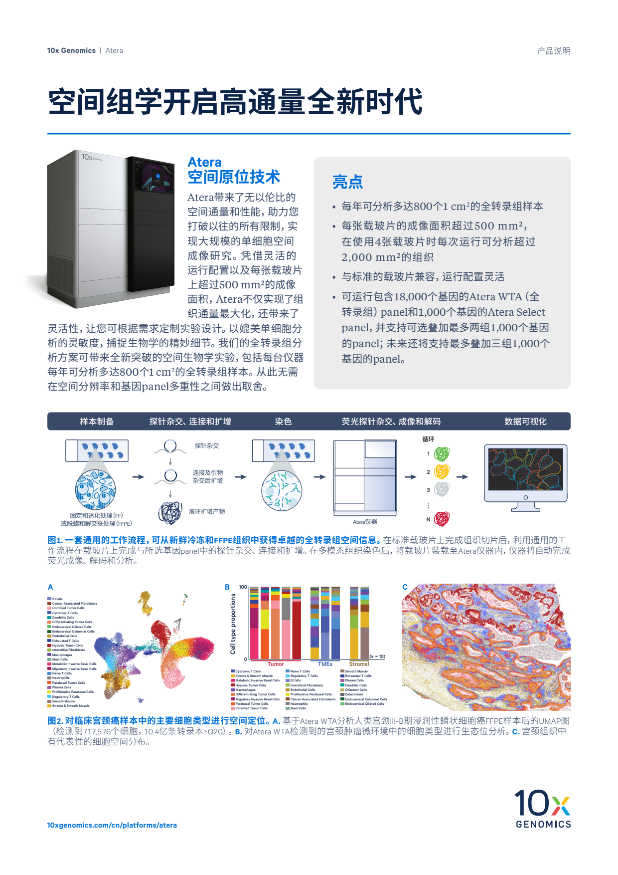空间组学开启高通量全新时代