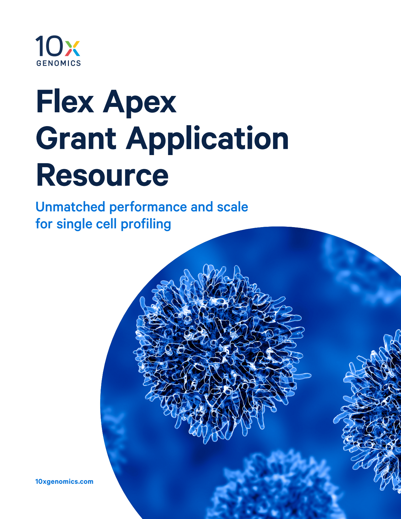 Windows　Sequence palladium まとめ Windows Sequence palladium まとめ 10x_LIT000616_Flex-Apex_Grant-