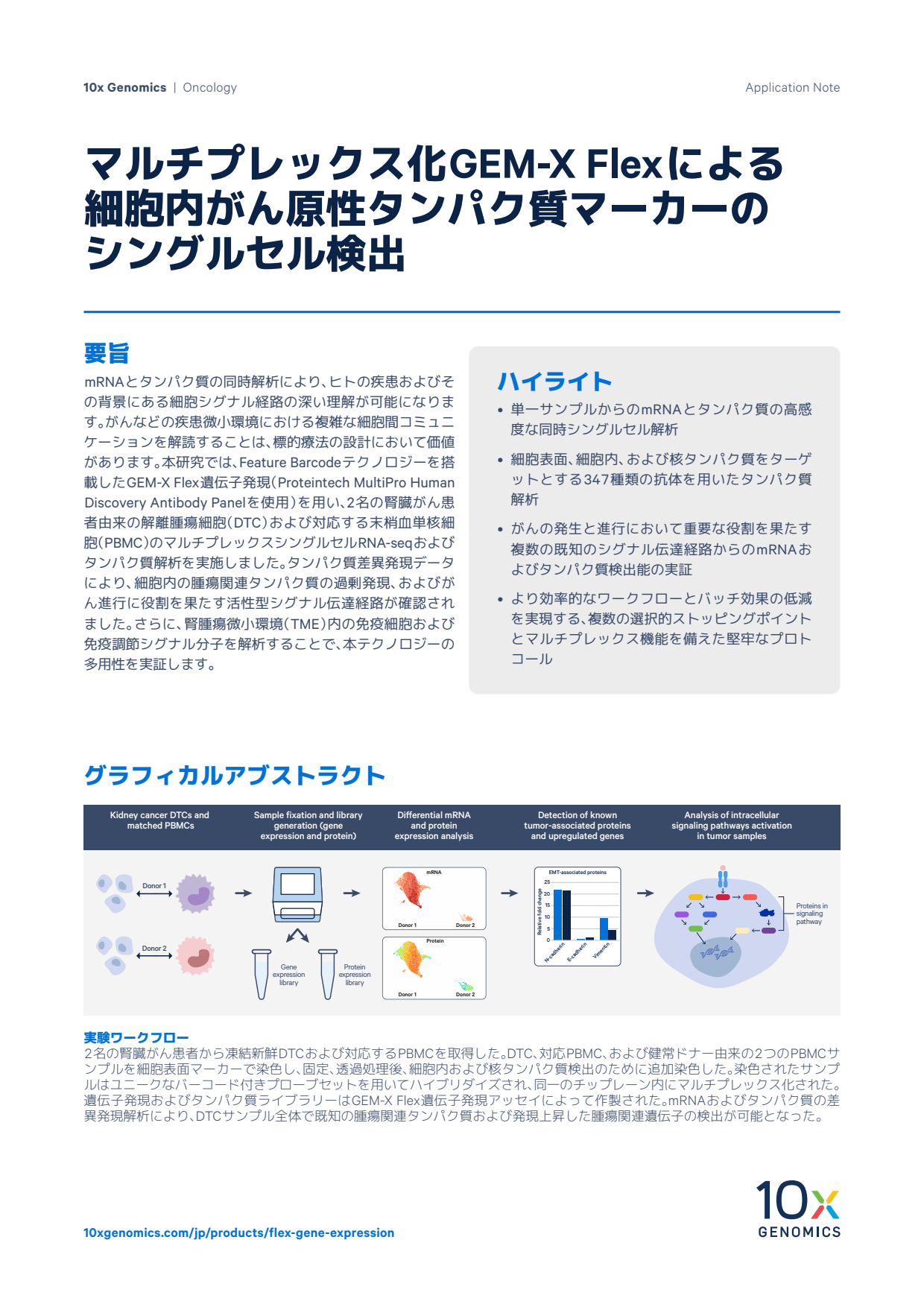 マルチプレックス化GEM-X Flexによる 細胞内がん原性タンパク質マーカーの シングルセル検出