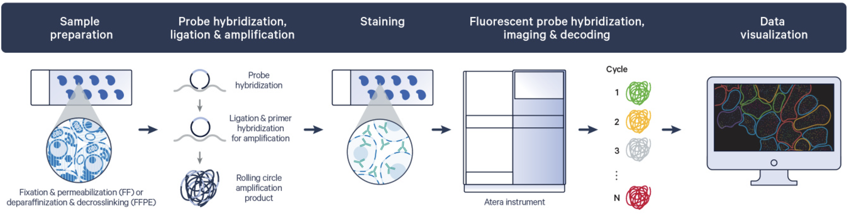 Figure 3. The Atera In Situ workflow.