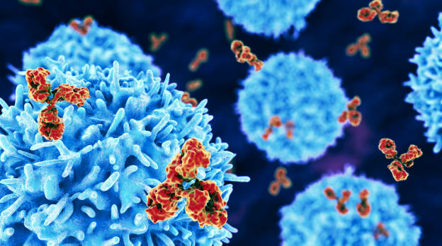 Neutralizing antibodies