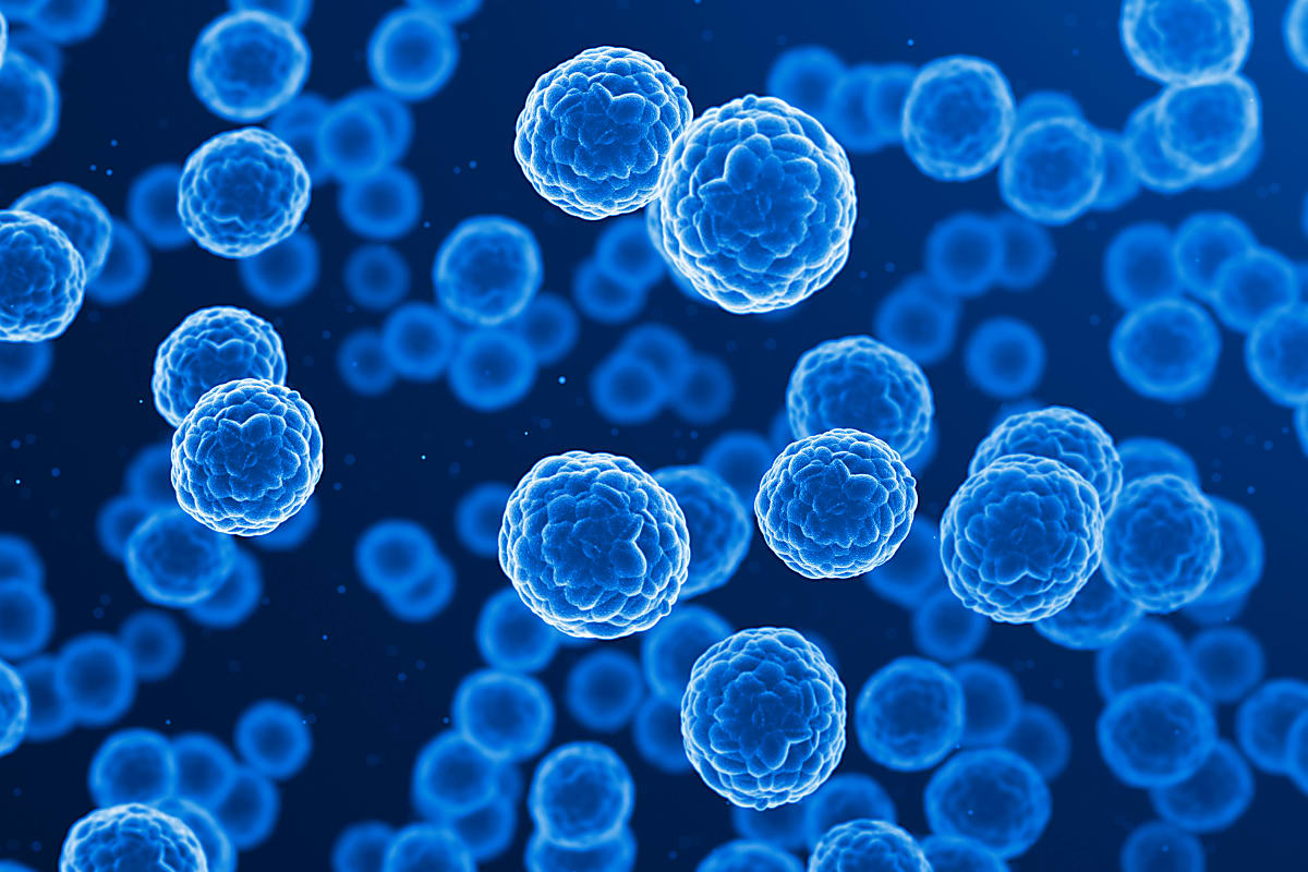 Advancing cancer drug discovery with large-scale, single cell CRISPR screens