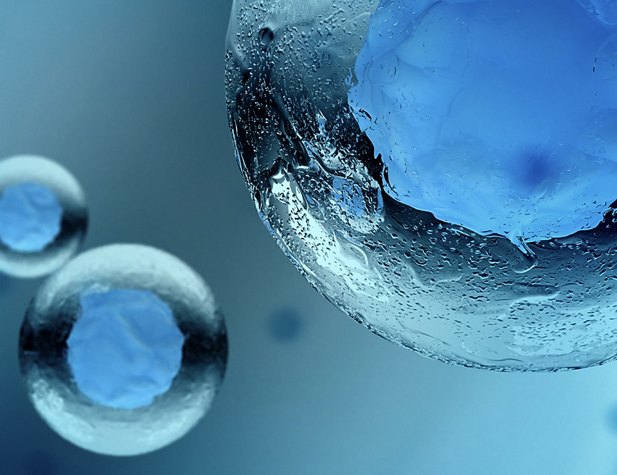 Bulk vs. single cell RNA-seq: Experimental differences and advantages of single cell resolution