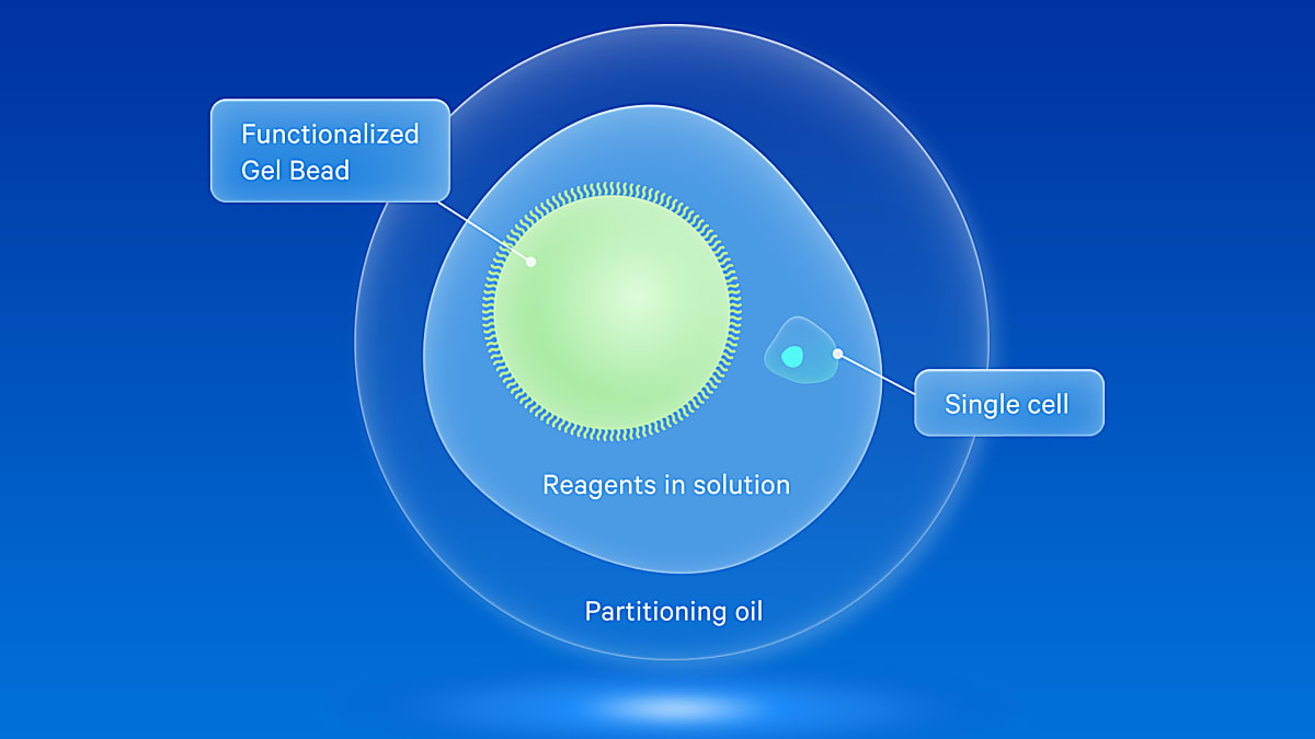How does single cell RNA-seq work