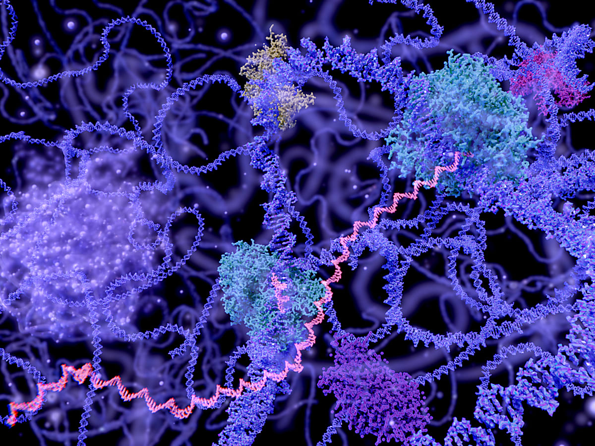 Bulk vs. single cell RNA-seq: When averages aren't enough