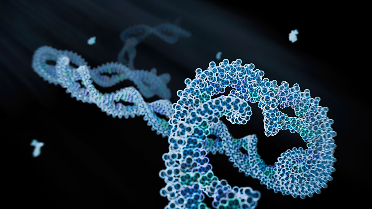 GEM-X Epi Multiome: An overview and tools for getting started
