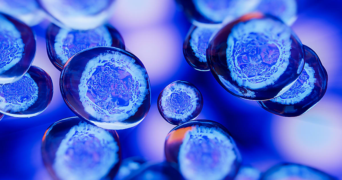 What is the difference between bulk and single cell RNA sequencing?